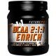 Future Pro BCAA 2:1:1 Enrich 400г