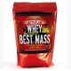 Activlab Whey Best Mass 3000г