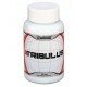 Xplode Gain Nutrition Tribulus 90 кап (500mg)