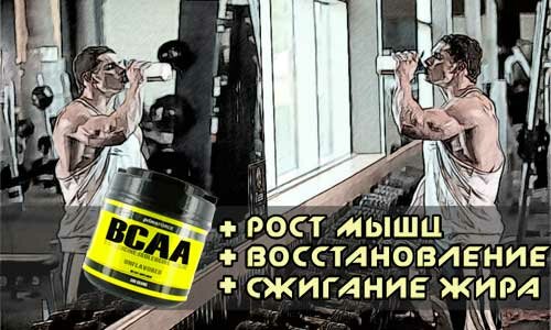 Выбор BCAA для похудения