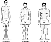 Как определить нормальный рост и состав тела